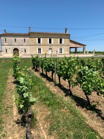 Gîte Puisseguin Exterior foto